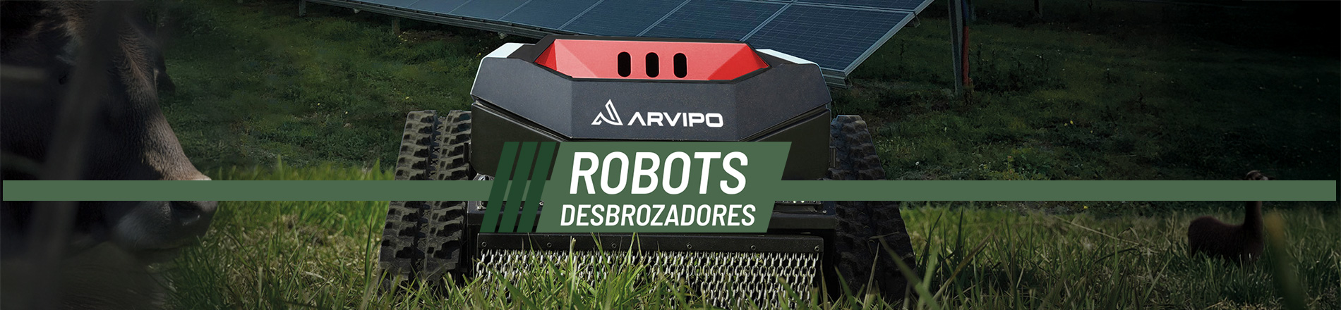 Arvipo Extras